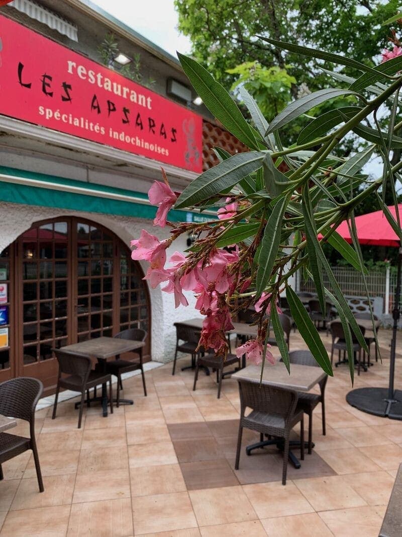 Les Apsaras — photo 2