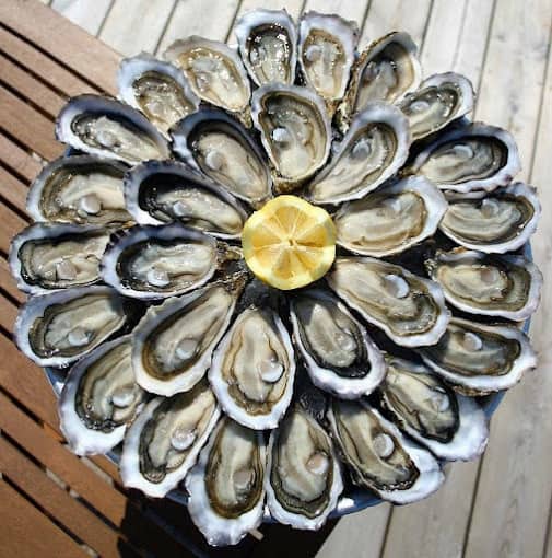 La Coquille — photo 2