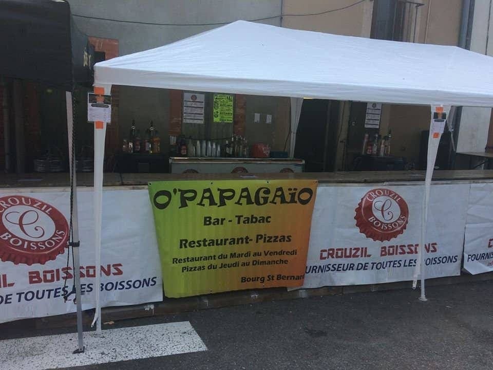 O-papagaio — photo 3