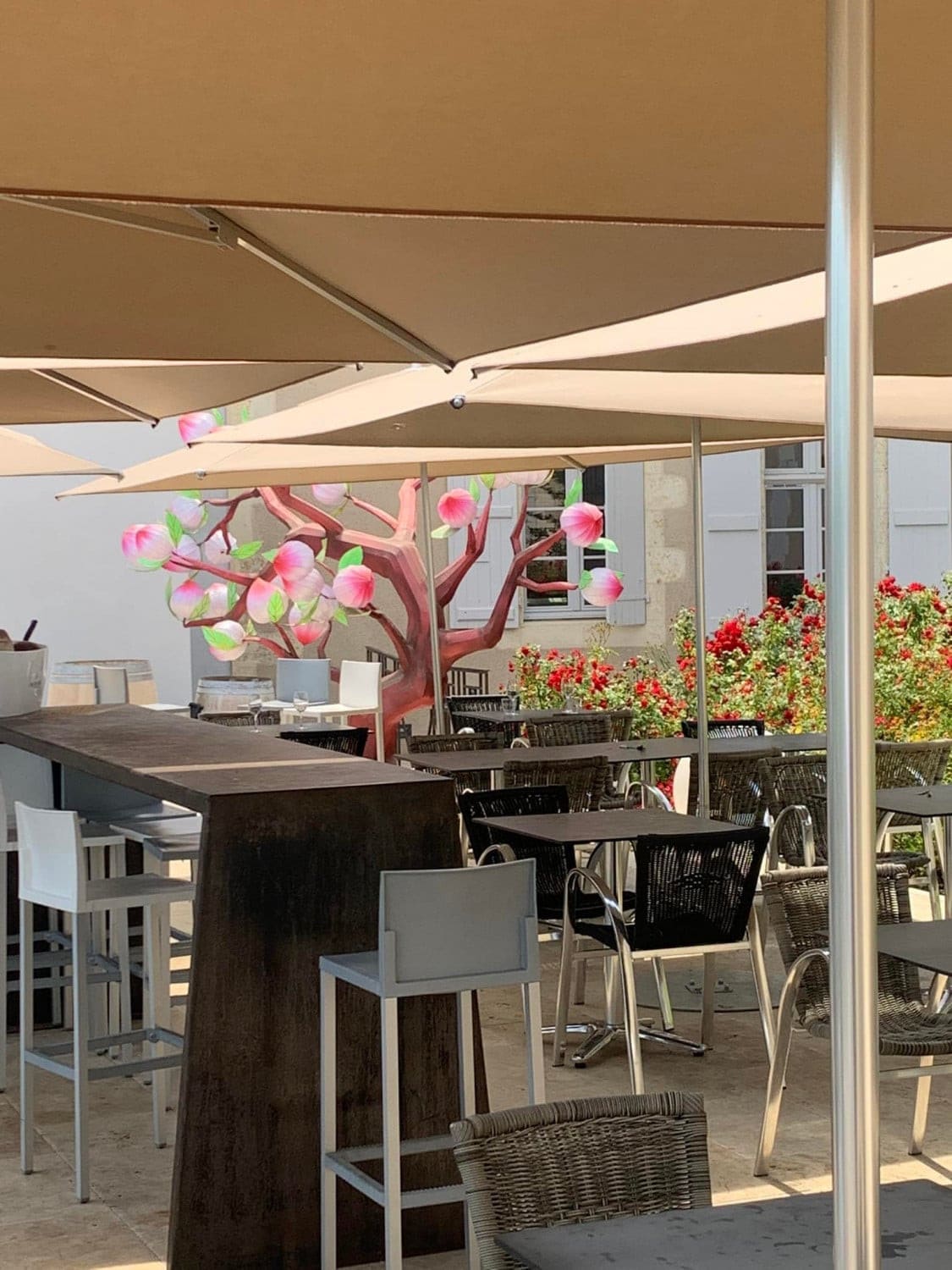 La Cantine — photo 3