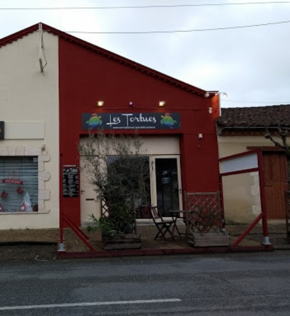 Les tortues — photo 3
