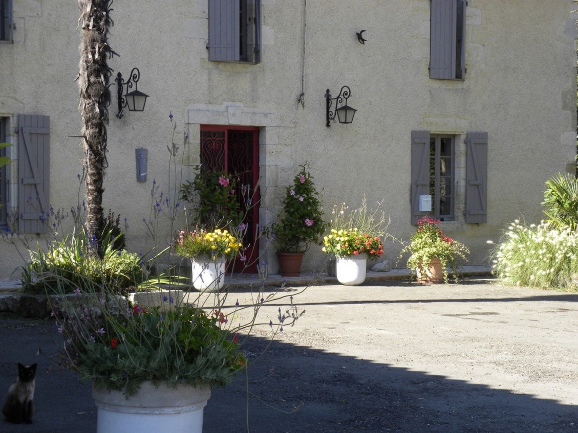 Auberge le cousteau — photo 2