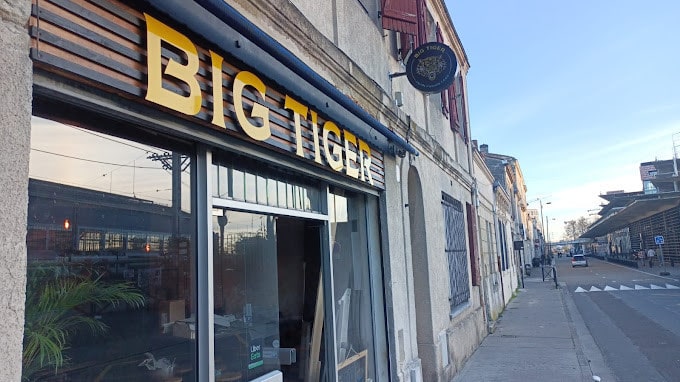 Big tiger — photo 2