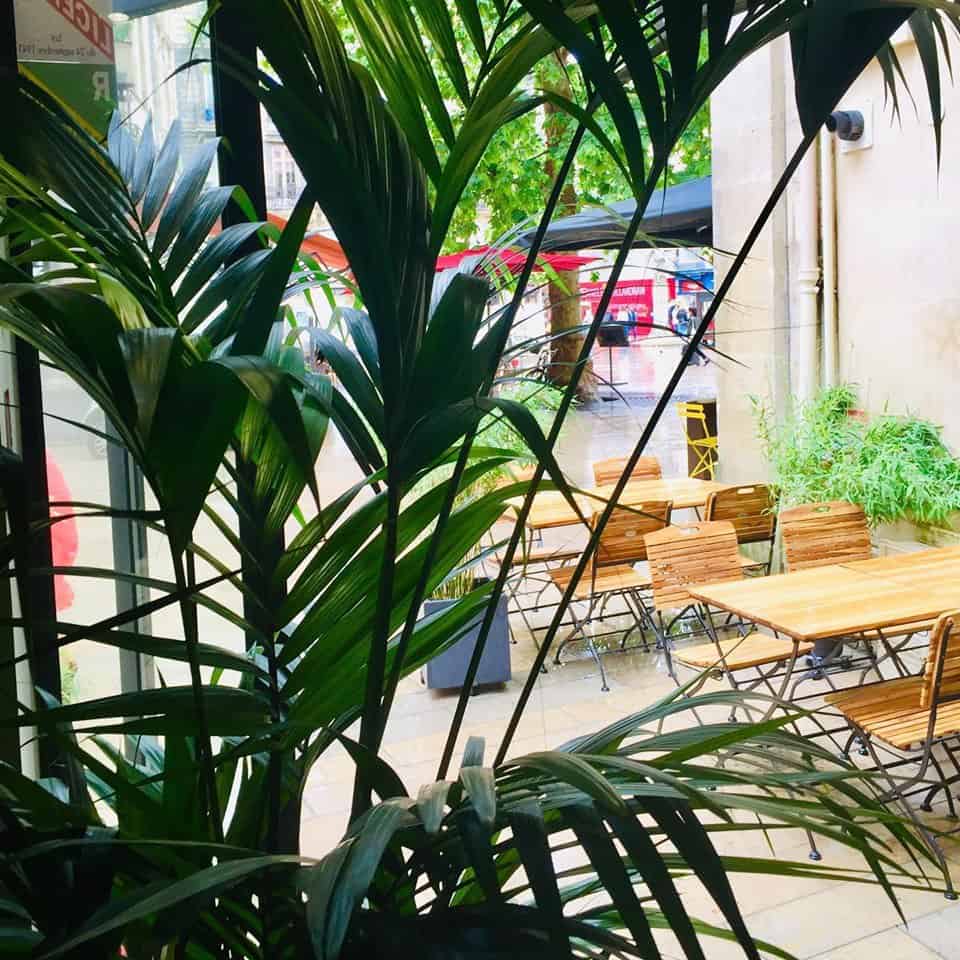 Bo-tannique — photo 2