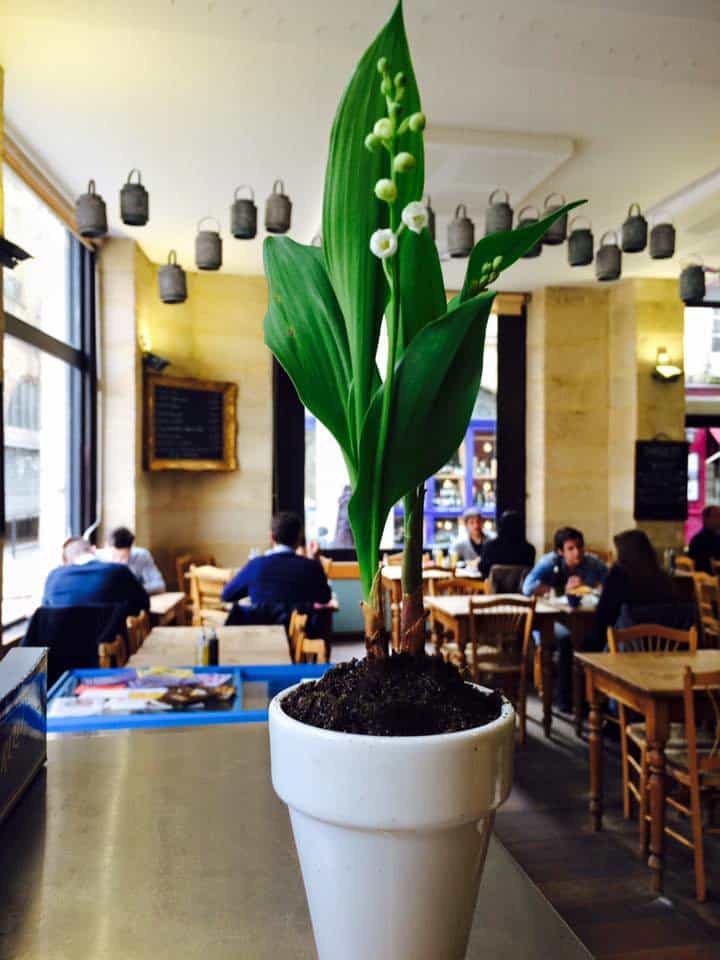 Chez Karl — photo 3