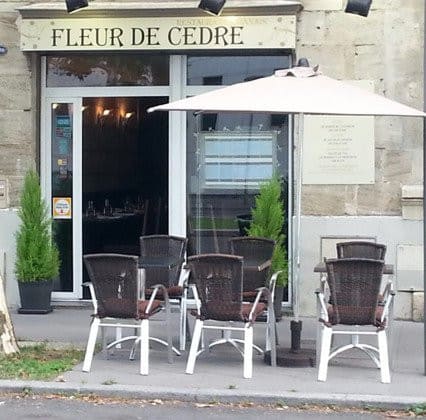 Fleur de cèdre — photo 2