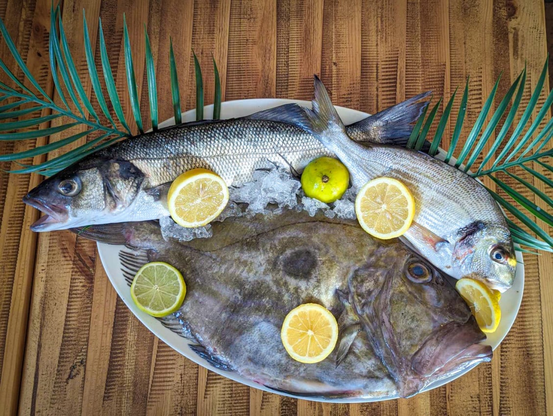 Le Tout Du Cru — Poissons et fruits de mer à Bordeaux — photo 7