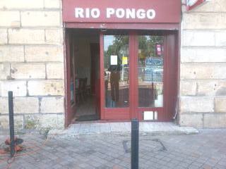 Rio Pongo — photo 2