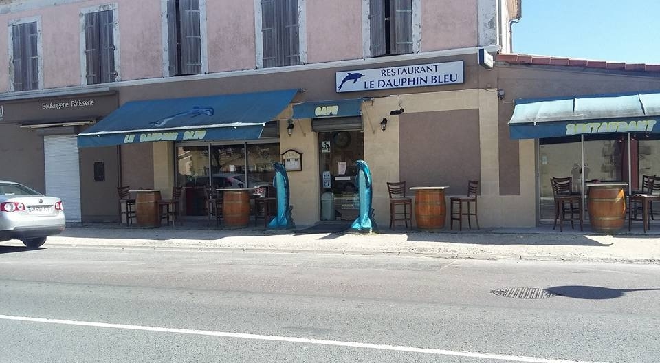 Le Dauphin Bleu — photo 2