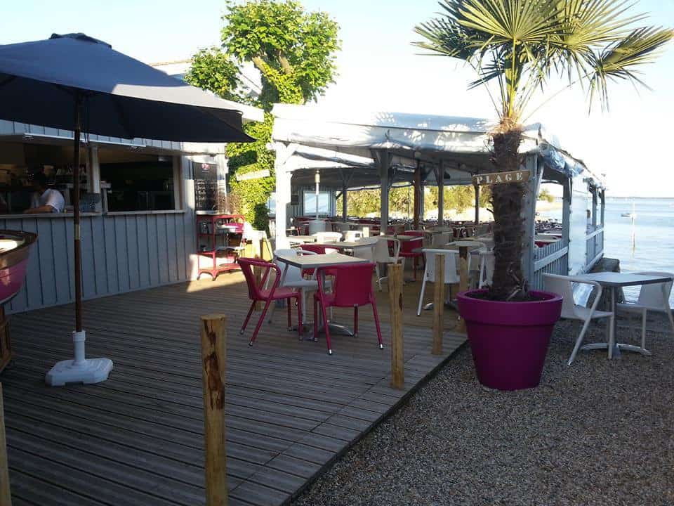 Le Platane — photo 2