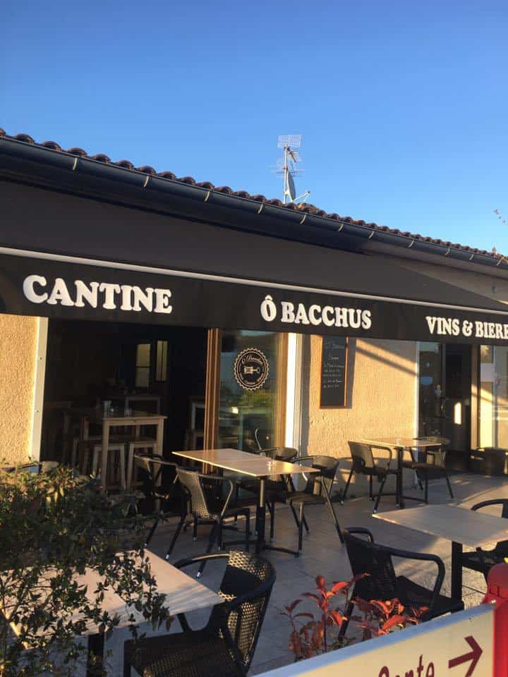 Ô' Bacchus — photo 2