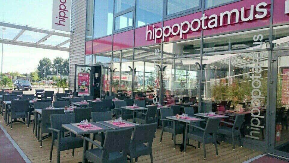 Hippopotamus — photo 2
