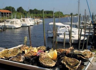 Les Richesses d'Arguin — photo 3