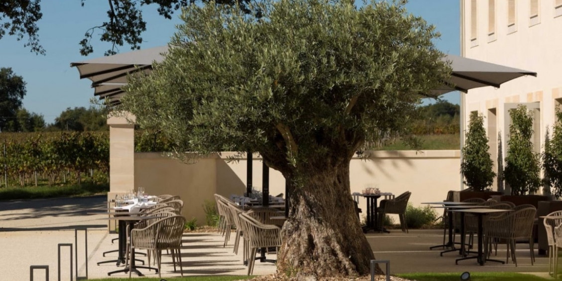 La Maison des Vignes — photo 2