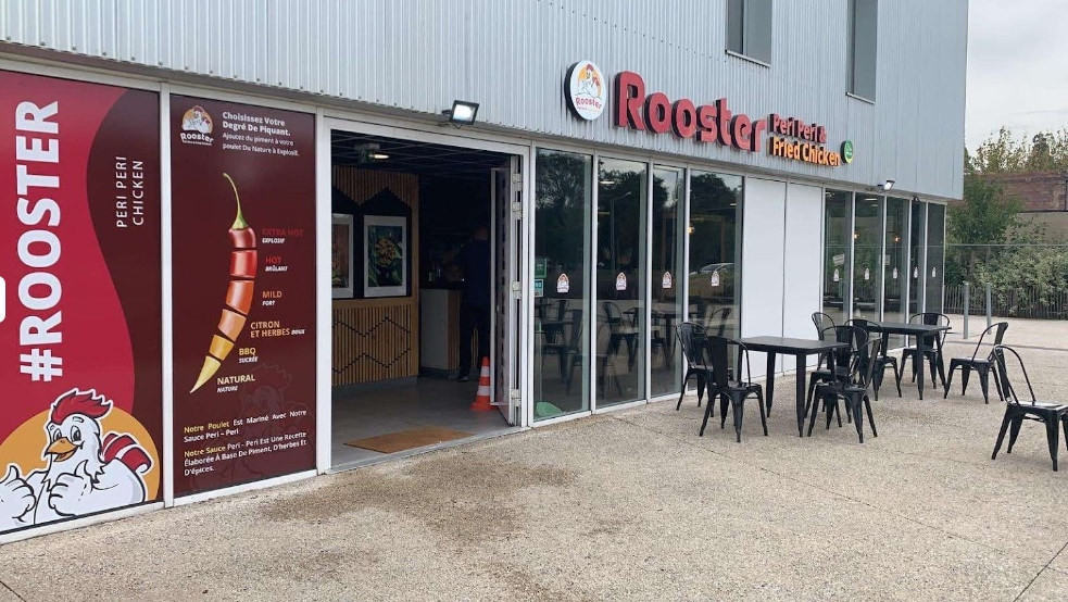 Rooster — photo 3