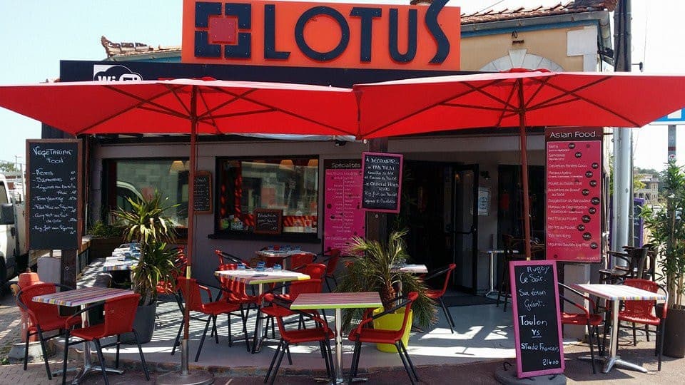 Lotus — photo 2
