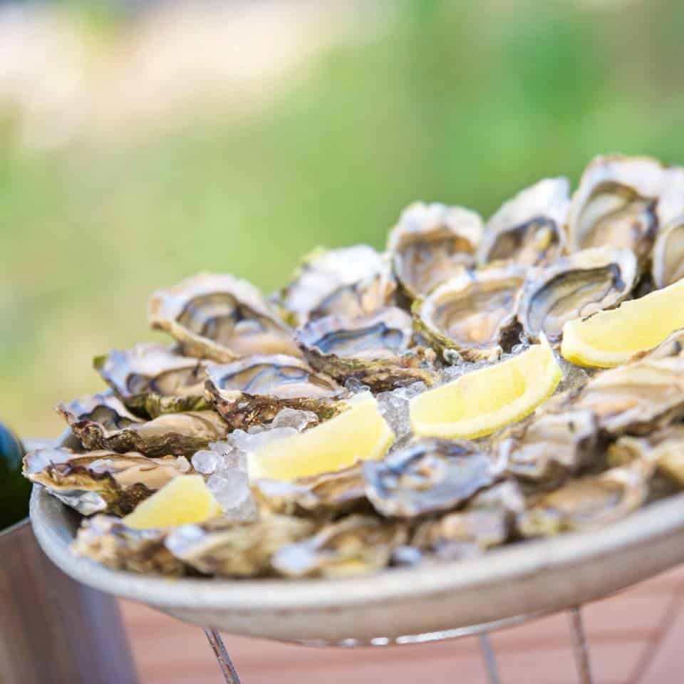 Chai Bertrand — Poissons et fruits de mer à Cap Ferret — photo 2