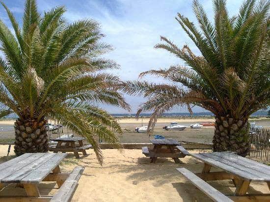 La Lagune — photo 3