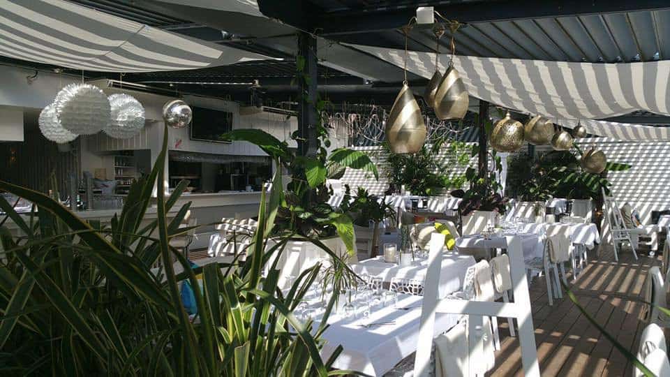 White Garden — photo 2