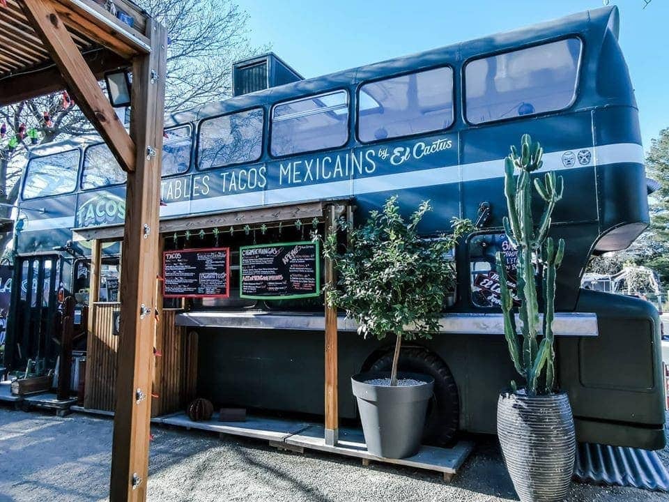 El Cactus — photo 2