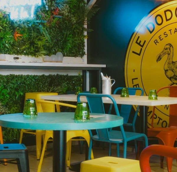 Le Dodo Blanc Montpellier — photo 3