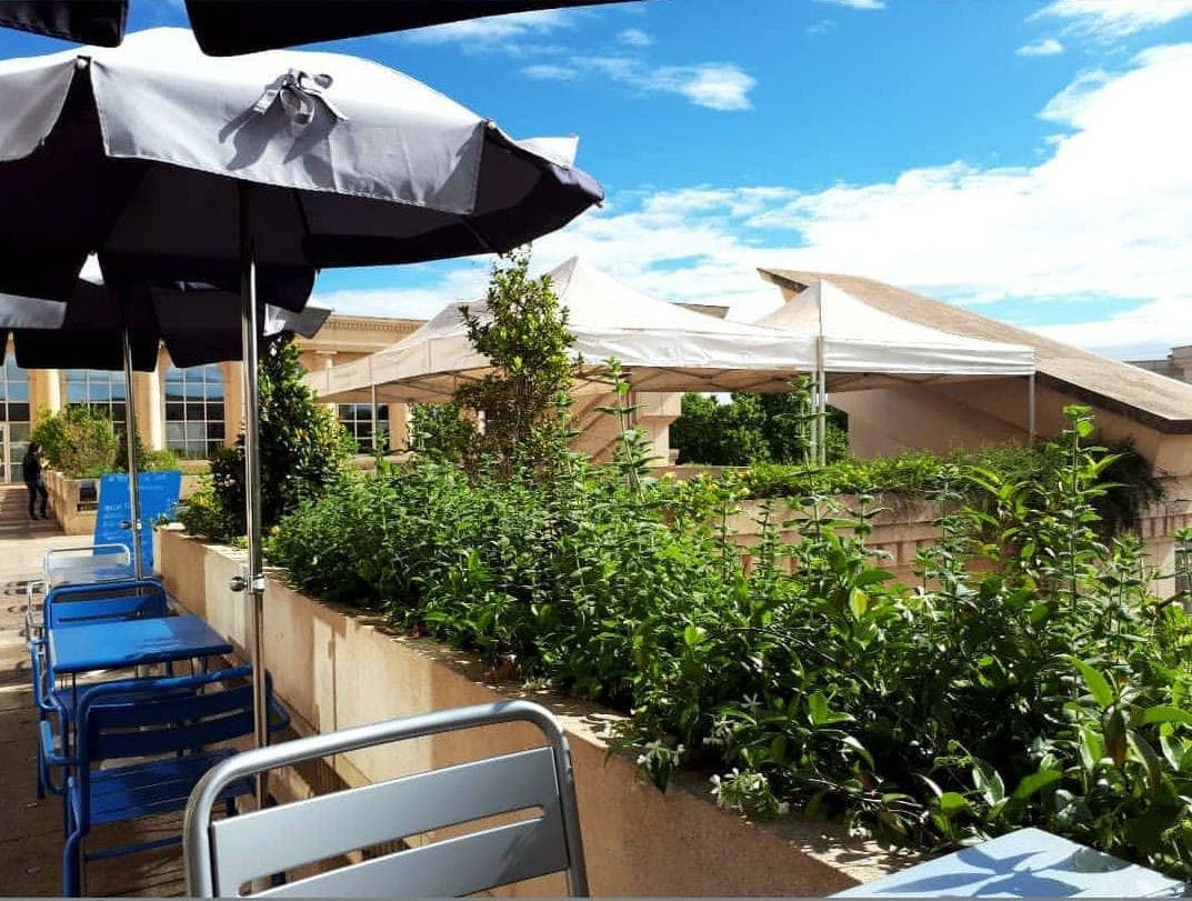 Le "Tête en l'air" Café — photo 2