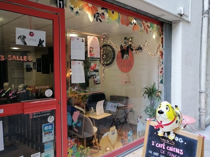 Tea Dog — photo 3