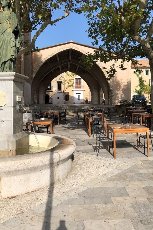 La terrasse du mimosa — photo 2