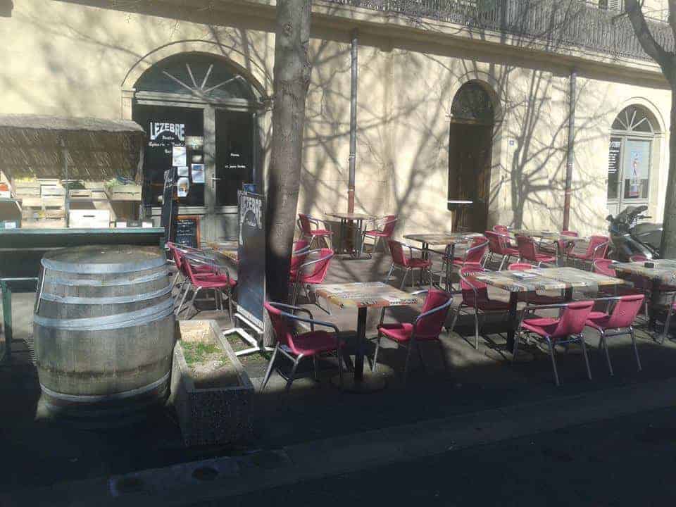 Le zebre — photo 2