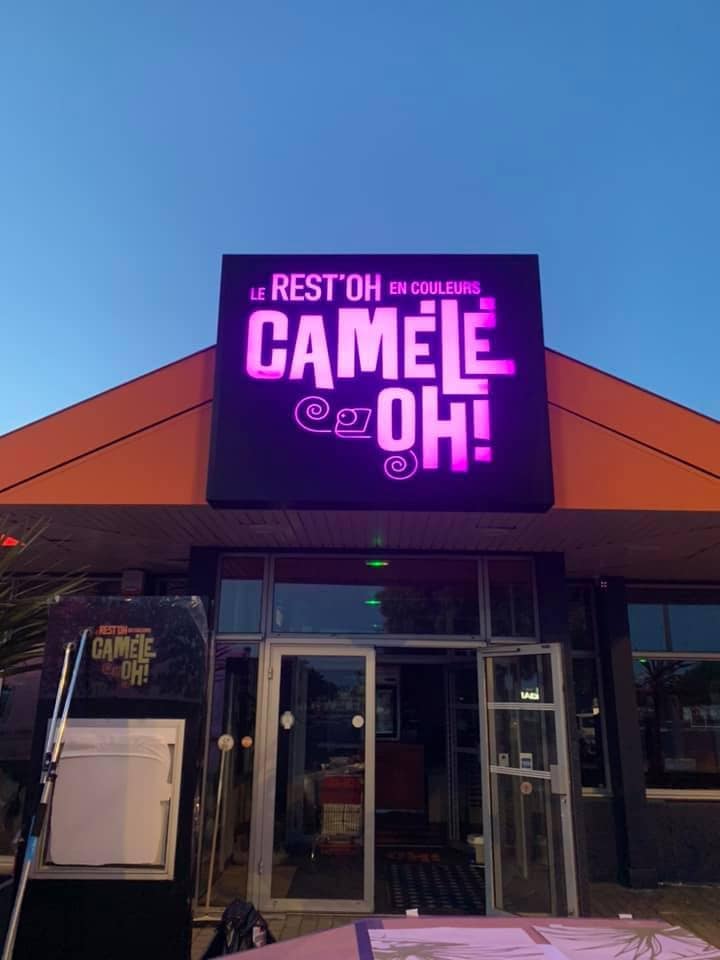 Camele'oh — photo 2