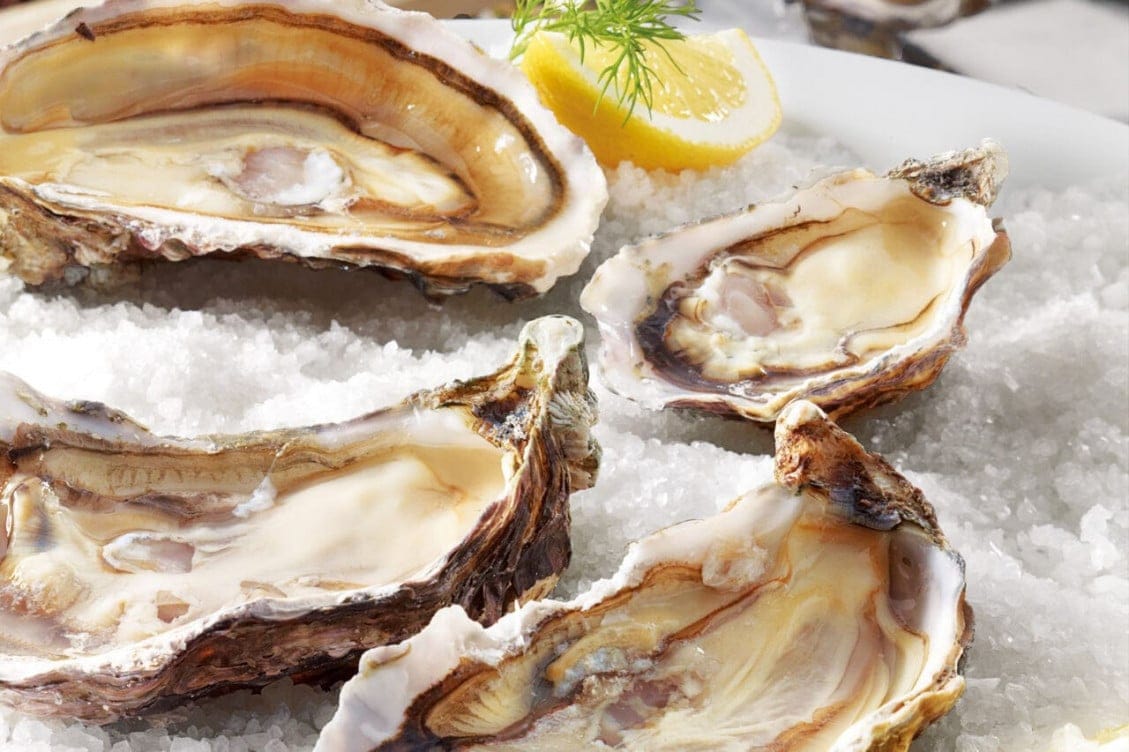 Le Pitalugue — Poissons et fruits de mer à Roquebrun — photo 2