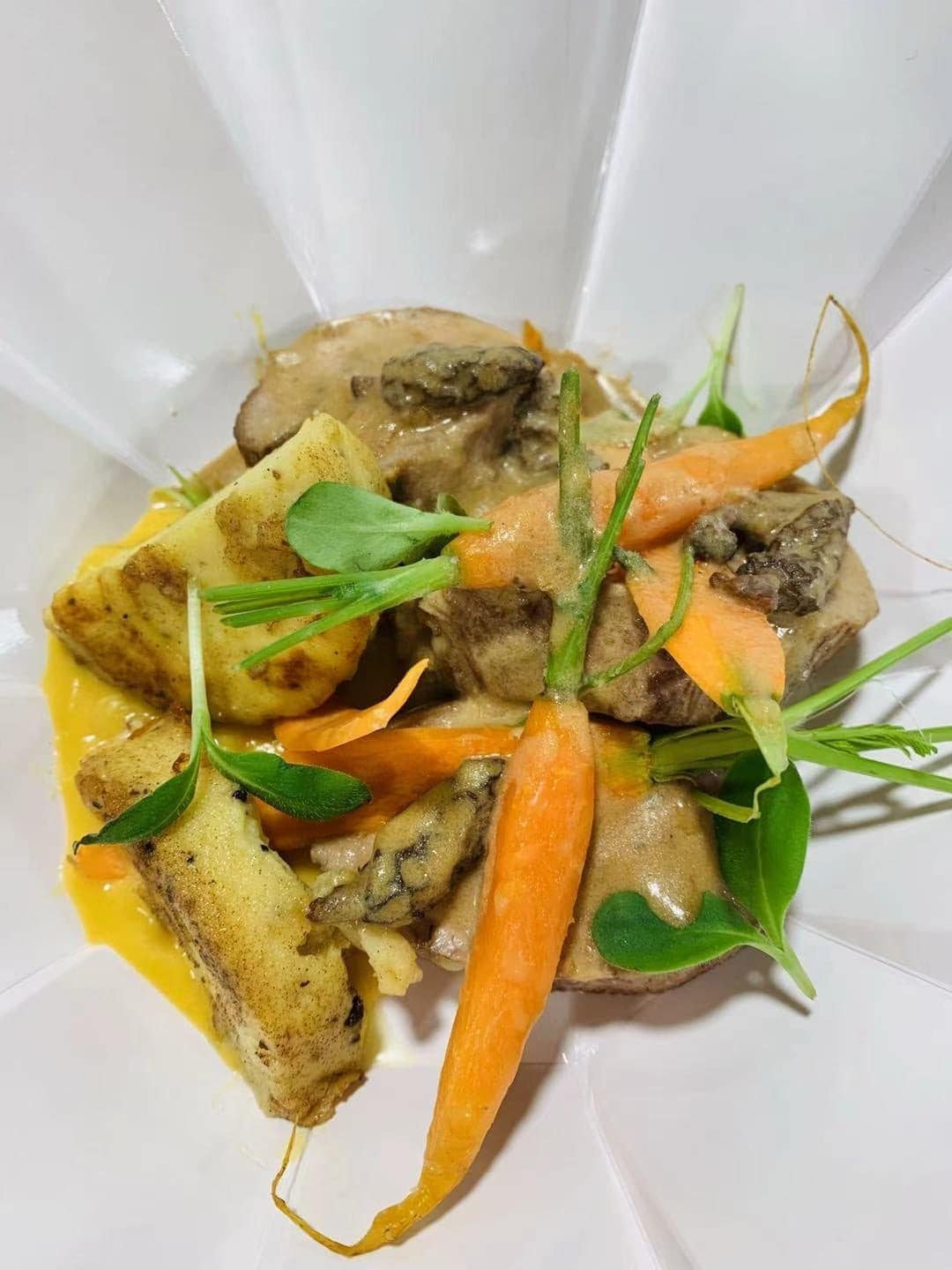 Coquille — photo 2