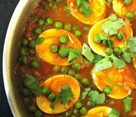 Tandoori Curry — photo 3