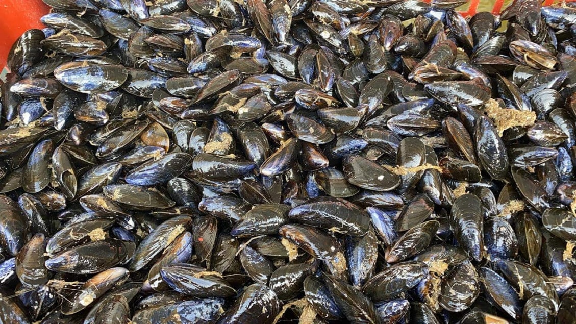 La Dégust' — Poissons et fruits de mer à Saint Meloir des Ondes — photo 2