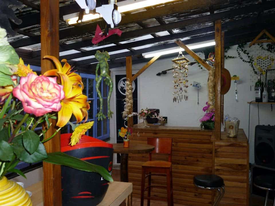 La palmeraie — photo 3