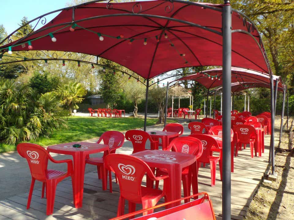 La palmeraie — photo 2