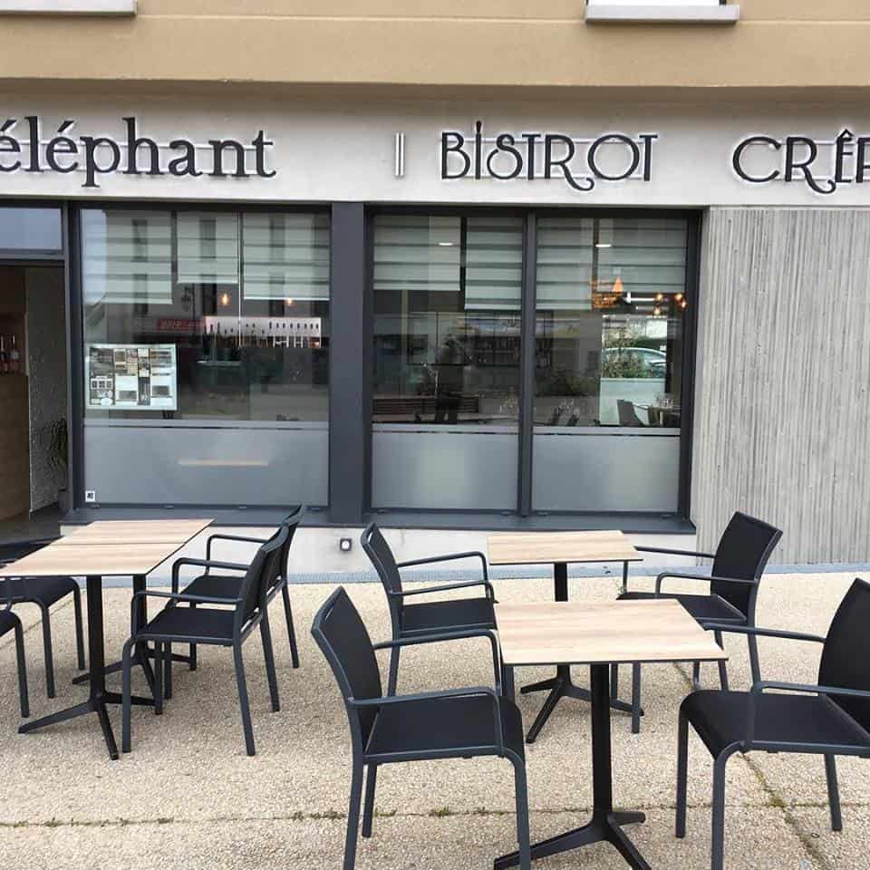 L'éléphant — photo 2