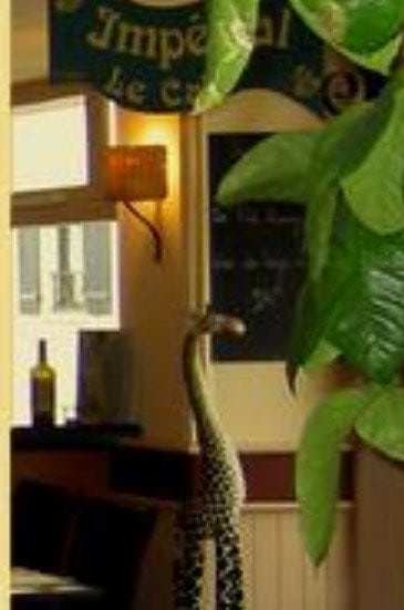 Le Crocodile — photo 3