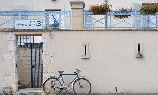 Les 3 cépages — photo 3