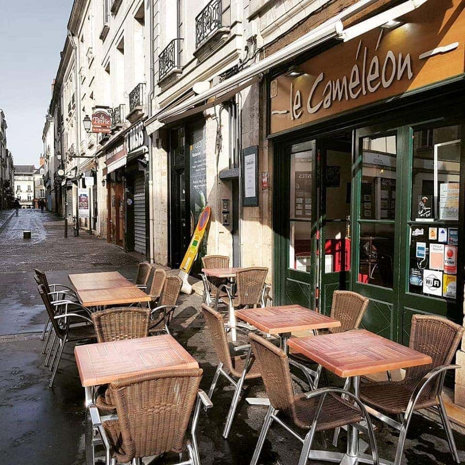Le caméléon — photo 2