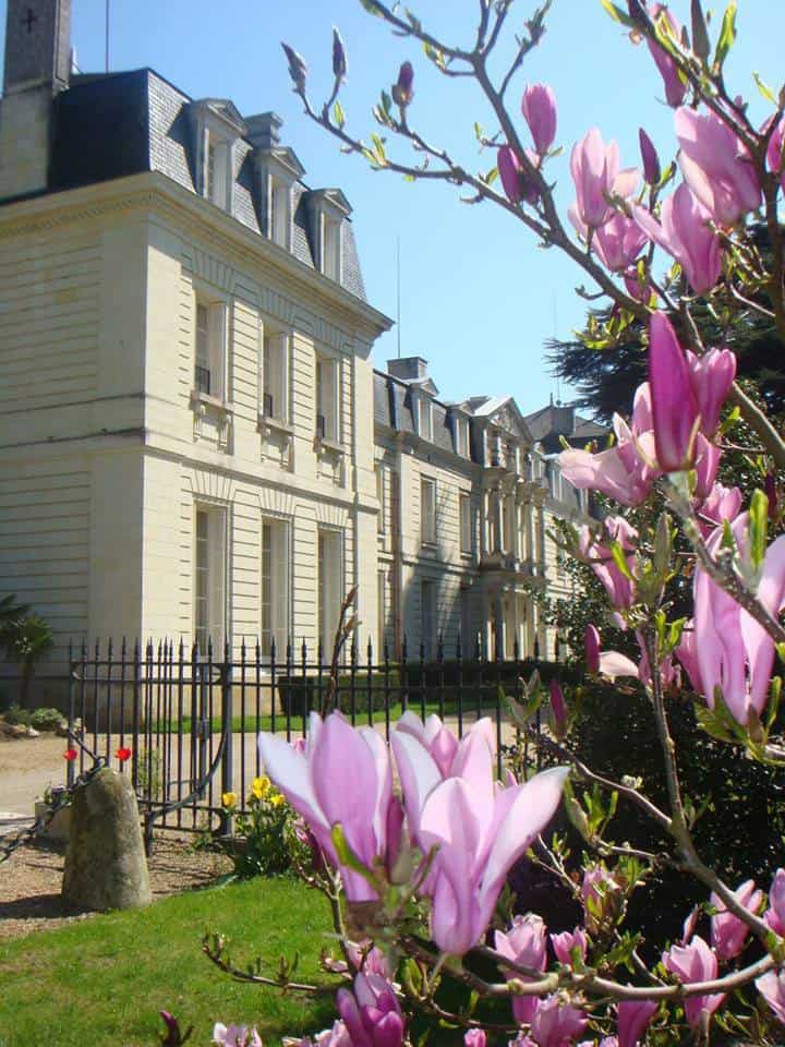 Château de Rochecotte — photo 2