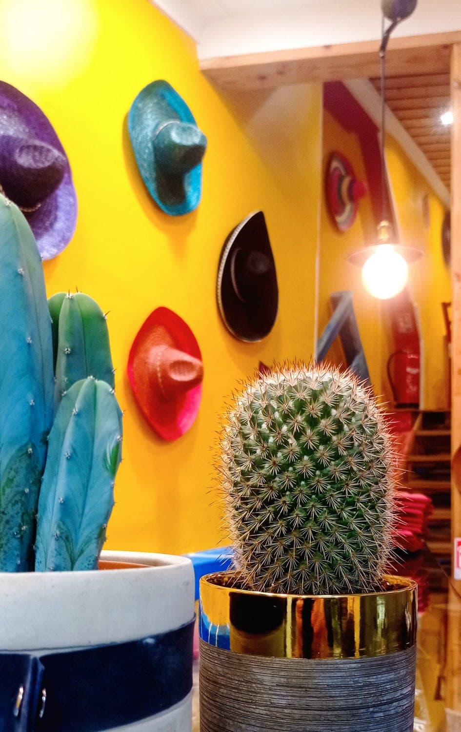 Au Taco Tac — photo 4
