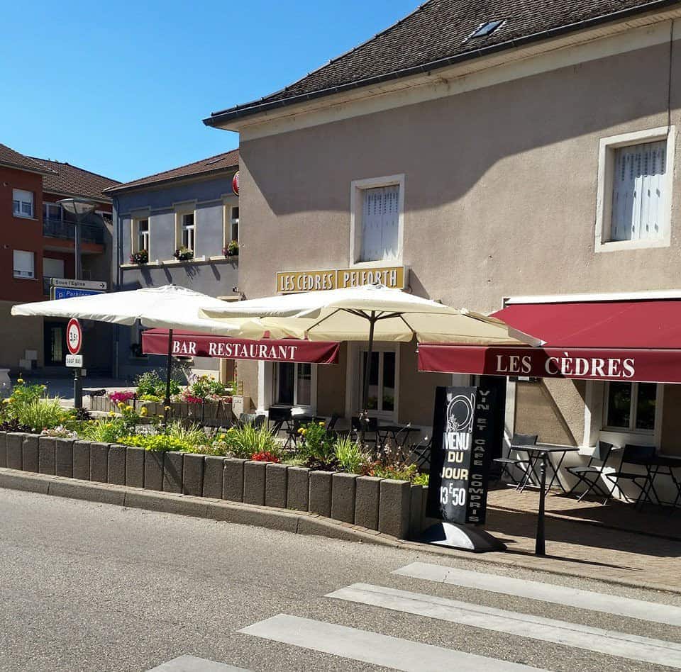 Les Cèdres — photo 2