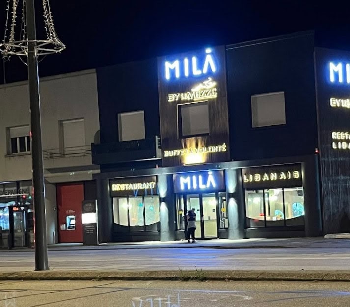Mila — photo 2