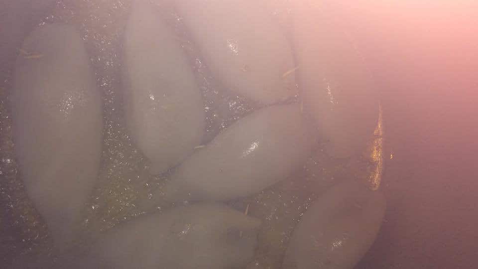 Le Petit Resto — photo 3