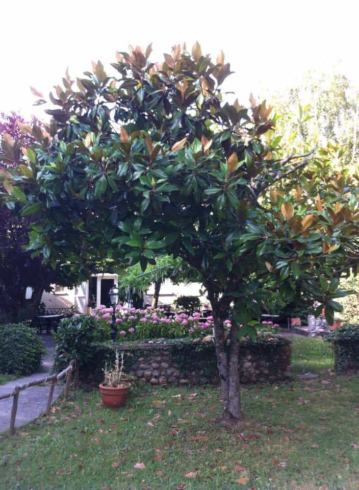 Les Chants d'ailes — photo 2