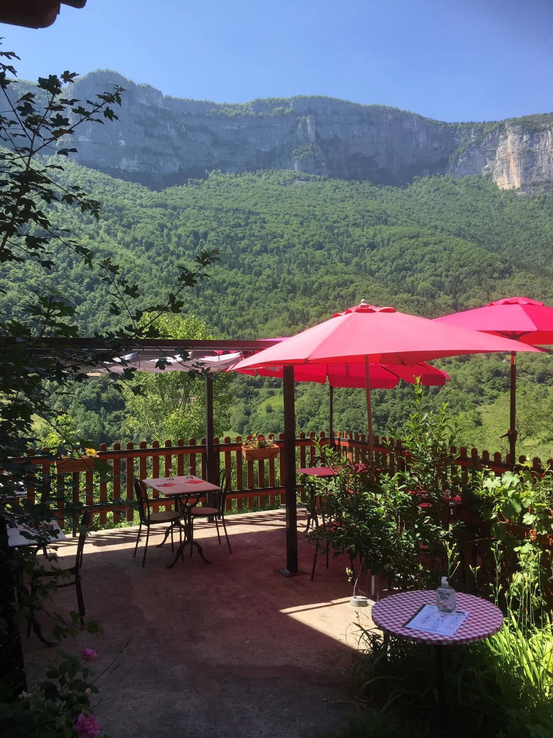 La Terrasse du Grand Frêne — photo 3
