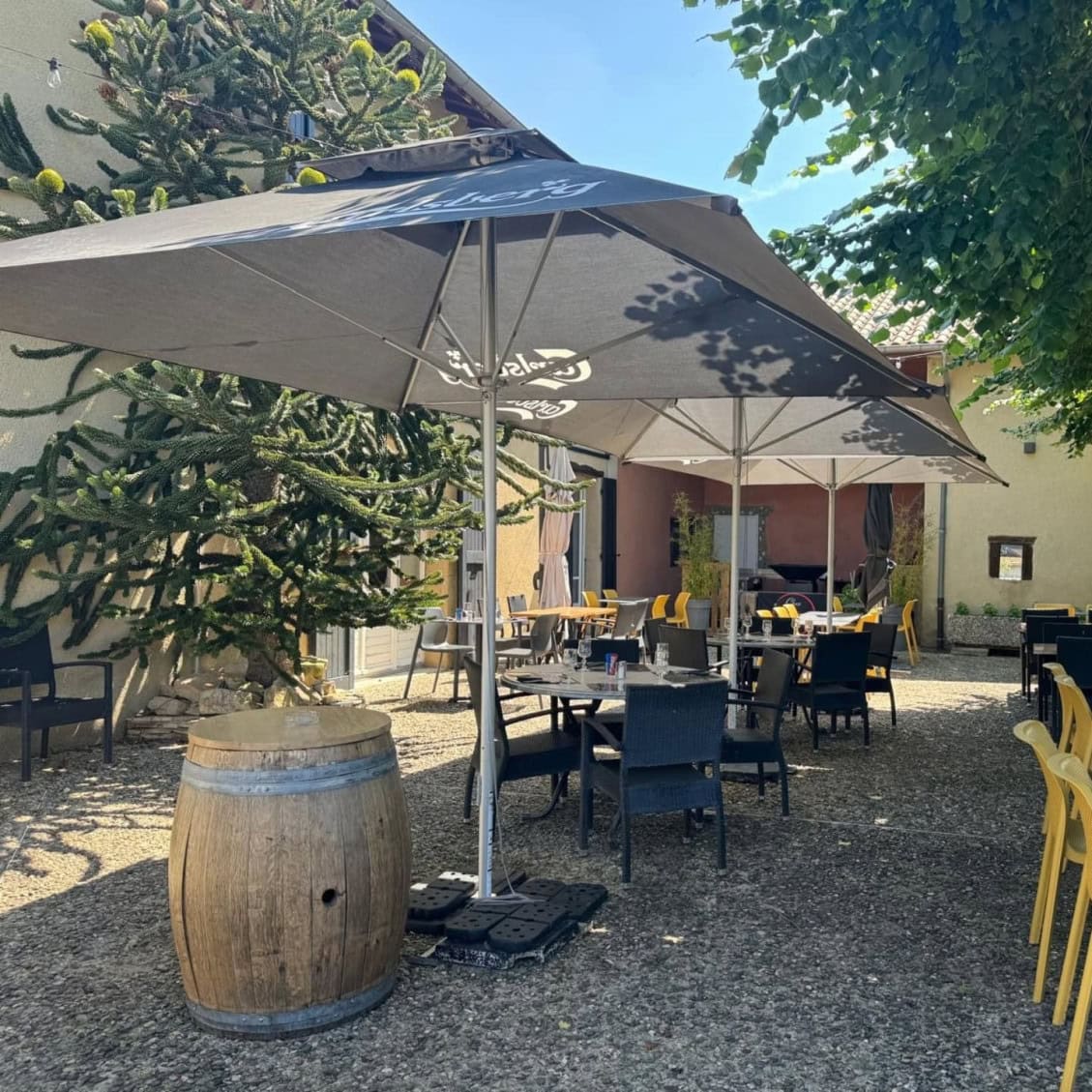 Chez Maxime — photo 3
