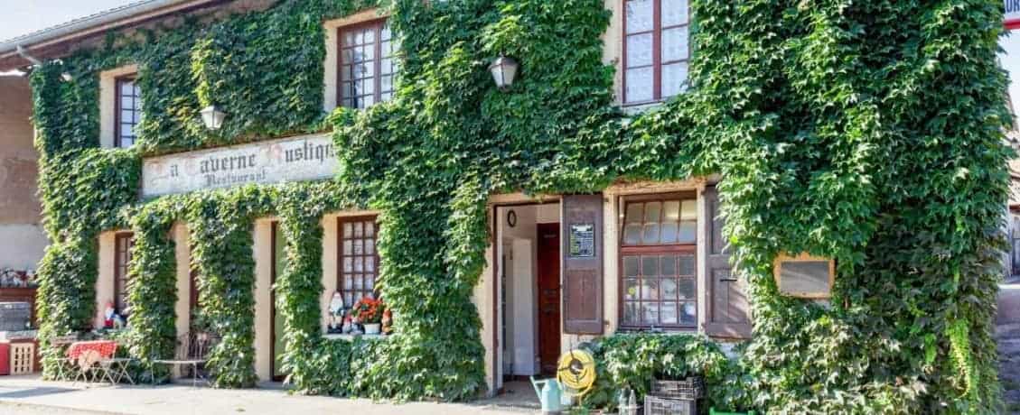 La Taverne Rustique à Saint Chef - menu et photos