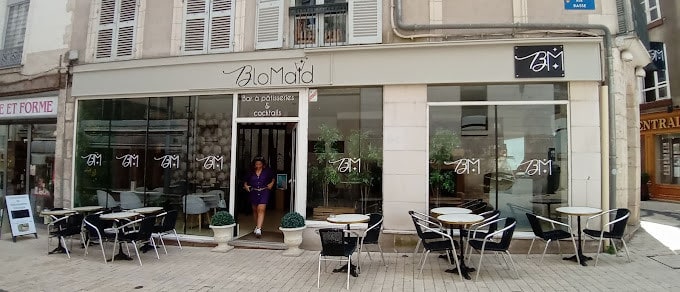 BloMaid — photo 2